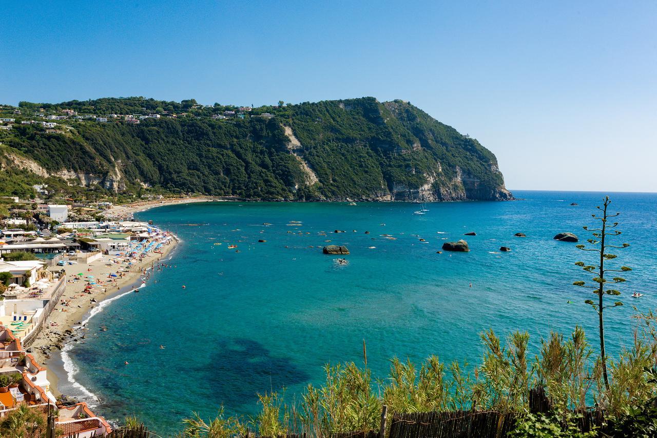 Villa Al Mare - Famiglia Calise Forio (Isola d'Ischia) Exterior photo